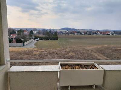 Wohnung mieten in 7011 Siegendorf (Bild 3)