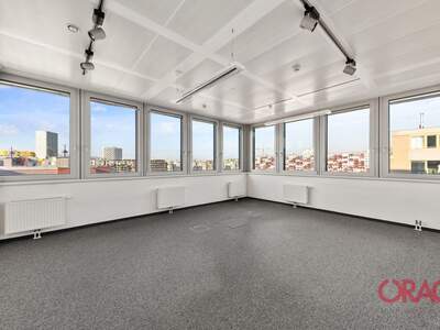 Gewerbeobjekt mieten in 1020 Wien (Bild 4)