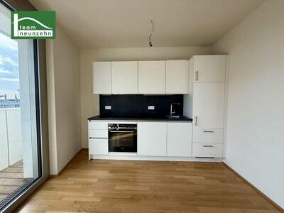 Terrassenwohnung mieten in 1100 Wien (Bild 3)