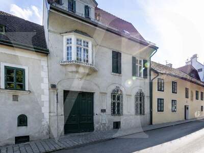 Haus mit Garten kaufen in 1190 Wien (Bild 1)