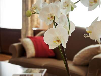 Wohnung kaufen in 1010 Wien (Bild 4)