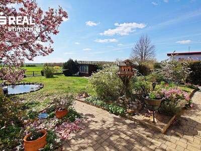 Haus kaufen in 7321 Lackendorf (Bild 3)