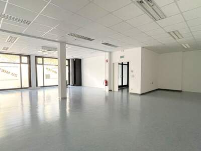 Gewerbeobjekt mieten in 1220 Wien (Bild 4)