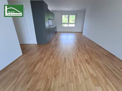 Terrassenwohnung mieten in 3100 St. Pölten (Bild 2)