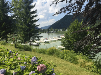 Haus provisionsfrei kaufen in 4084 Sankt Agatha