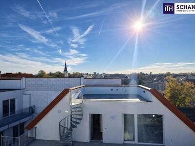 Terrassenwohnung kaufen in 2514 Traiskirchen (Bild 2)