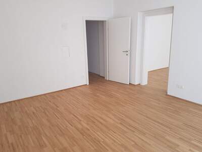 Altbauwohnung mieten in 1060 Wien (Bild 2)