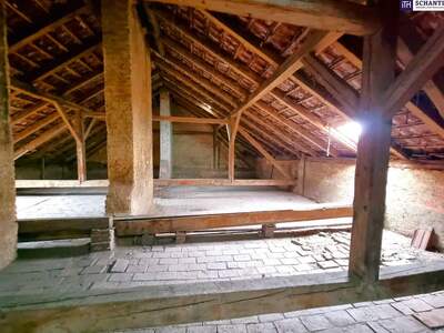 Anlageobjekt kaufen in 1150 Wien (Bild 1)