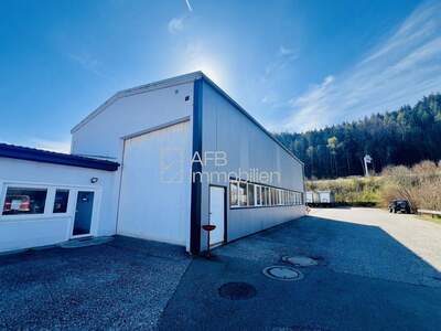 Office / Business mieten in 8700 Steiermark