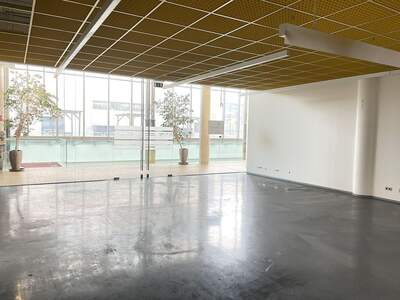 Gewerbeobjekt mieten in 5071 Himmelreich (Bild 5)