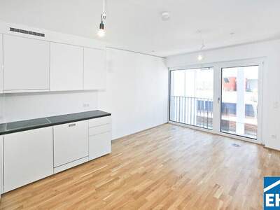 Terrassenwohnung mieten in 1030 Wien (Bild 4)