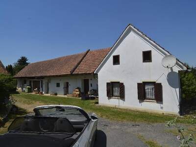 Haus kaufen in 8350 Fehring