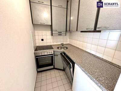 Wohnung kaufen in 1100 Wien (Bild 2)