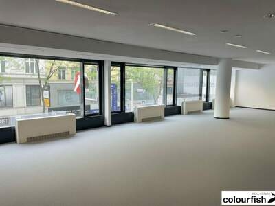 Gewerbeobjekt mieten in 1070 Wien (Bild 3)