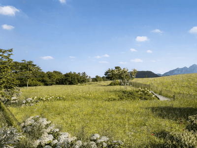 Grundstück kaufen in 6306 Söll