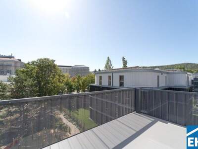 Terrassenwohnung kaufen in 2340 Mödling (Bild 3)