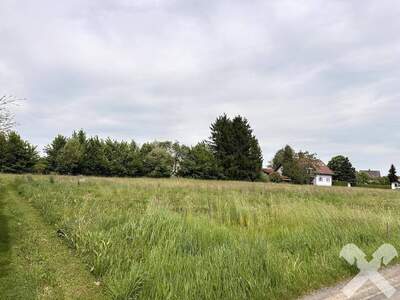 Grundstück kaufen in 8490 Bad Radkersburg