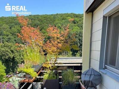 Eigentumswohnung in 2391 Kaltenleutgeben