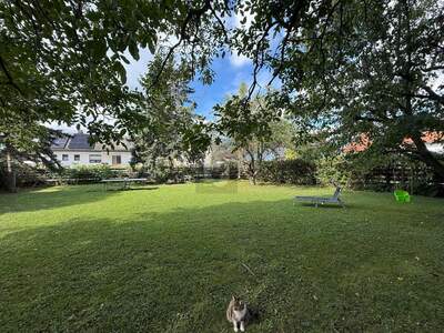 Grundstück kaufen in 2353 Guntramsdorf (Bild 3)