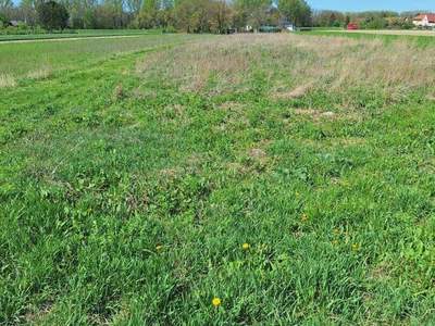 Gewerbeobjekt kaufen in 2492 Zillingdorf