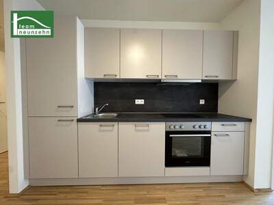 Terrassenwohnung mieten in 1200 Wien (Bild 3)