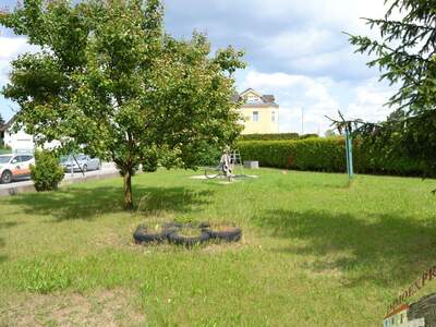 Haus mit Garten kaufen in 2402 Haslau (Bild 4)