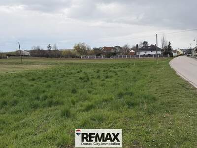 Grundstück kaufen in 2112 Hetzmannsdorf (Bild 2)