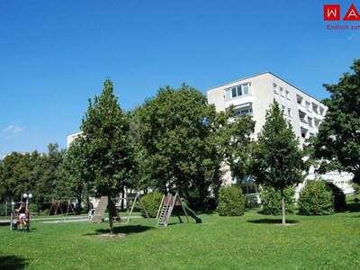 Terrassenwohnung mieten in 4020 Linz (Bild 2)