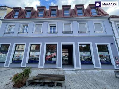 Einzelhandel mieten in 8330 Feldbach (Bild 5)