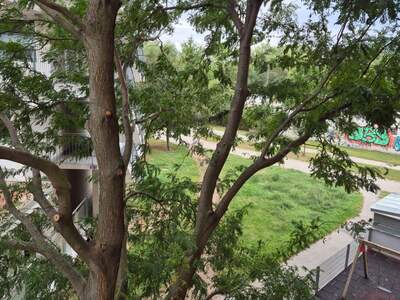 Mietwohnung in 1100 Wien (Bild 5)