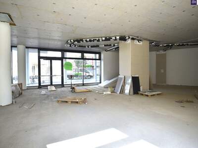 Gewerbeobjekt mieten in 1210 Wien (Bild 4)