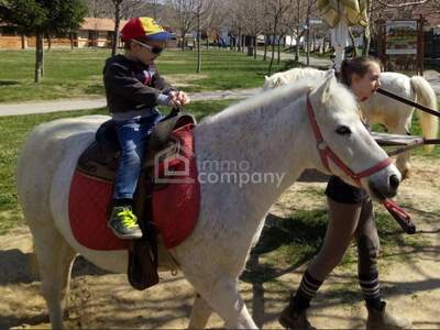 Grundstück kaufen in 7321 Unterfrauenhaid