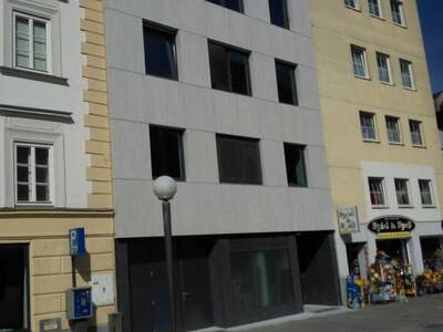 Gewerbeobjekt mieten in 4910 Ried (Bild 4)