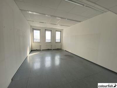 Gewerbeobjekt mieten in 1110 Wien (Bild 4)