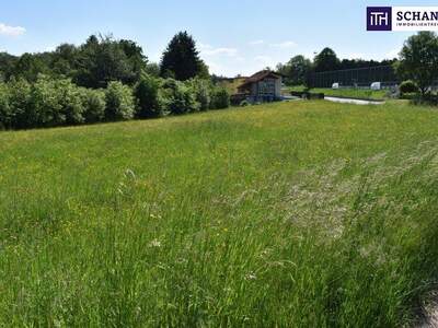 Grundstück kaufen in 8301 Laßnitzhöhe (Bild 4)