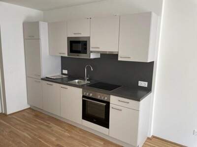 Terrassenwohnung mieten in 1220 Wien (Bild 3)