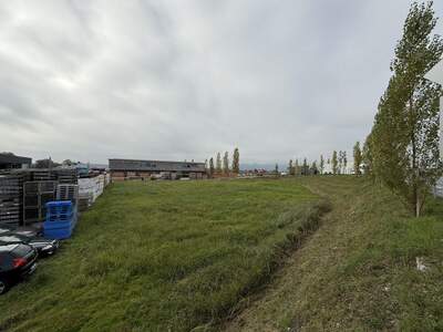 Gewerbeobjekt kaufen in 6971 Hard (Bild 1)