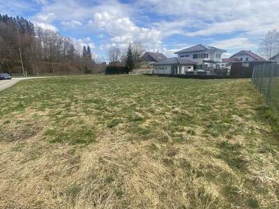 Haus kaufen in 4870 Pfaffing (Bild 4)