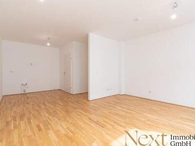 Terrassenwohnung mieten in 3100 St. Pölten (Bild 2)