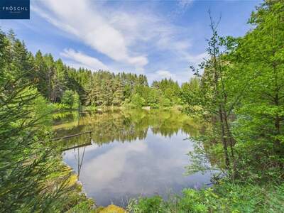 Gewerbeobjekt kaufen in 3860 Heidenreichstein