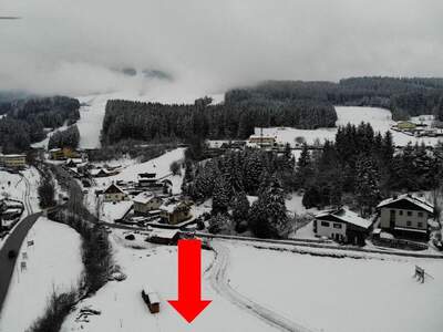 Grundstück kaufen in 8684 Spital (Bild 1)