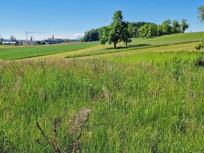 Grundstück kaufen in 5141 Moosdorf