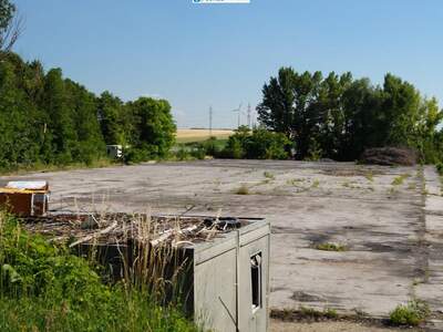 Immobilie mieten in 2405 Bad Deutsch (Bild 2)