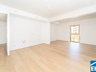 Terrassenwohnung kaufen in 2340 Mödling (Bild 3)