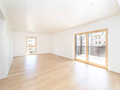 Anlageobjekt kaufen in 2340 Mödling