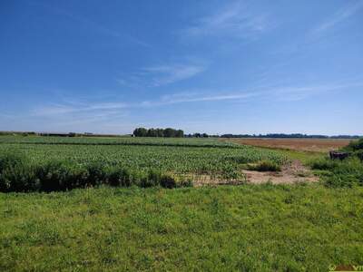 Gewerbeobjekt kaufen in 9231 Beltinci (Bild 2)