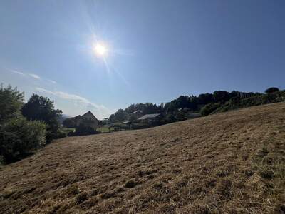 Grundstück kaufen in 8463 Leutschach (Bild 5)