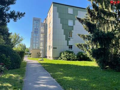 Wohnung mieten in 4020 Linz