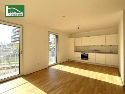 Terrassenwohnung mieten in 1220 Wien (Bild 2)