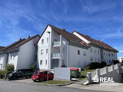 Terrassenwohnung kaufen in 4150 Rohrbach (Bild 3)